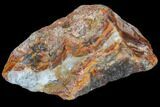 Beautiful Condor Agate From Argentina - Cut/Polished Face #79575-2
